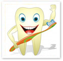Happy Tooth : Medical Illustration Facial Anatomy : Medical Illustration
