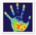Handprint : Scientific Illustration